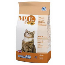 Forza10 mr. Fruit аранжевым фруктом indoor (26,8/16)