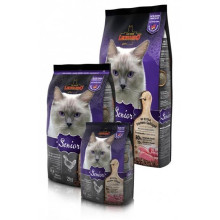 Леонардо көркем