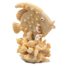 Грот Рыба-ангел, S, 70*50*83