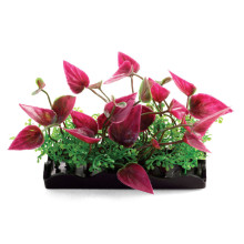 Растения композиция, розовая, 80мм