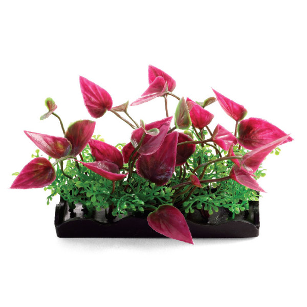 Растения композиция, розовая, 80мм, Laguna