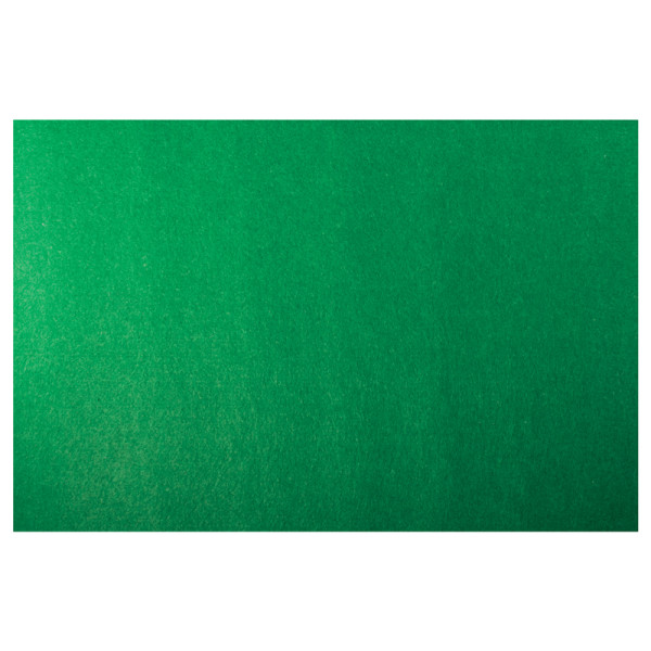 Коврик-субстрат Repti-Zoo 06EC: сіздердің рептилияларыңыз үшін ықтималды шешім