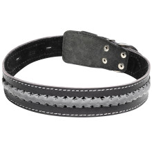 Ошейник двойной кожаный "Коса светоотражающая", 36*720мм