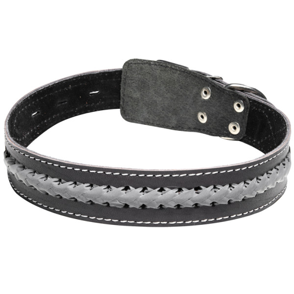 Ошейник двойной кожаный "Коса светоотражающая", 36*720мм, Gamma