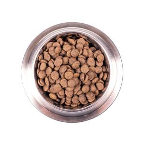 Монге Көкбасшылық