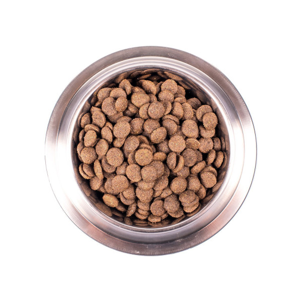 Monge Dog Speciality -  с ягненком рисом и картофелем