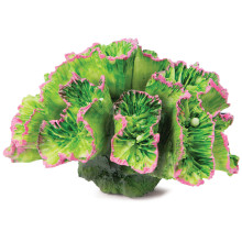 Коралл искусственный Кауластрея, зеленая, 70*50*45, Laguna