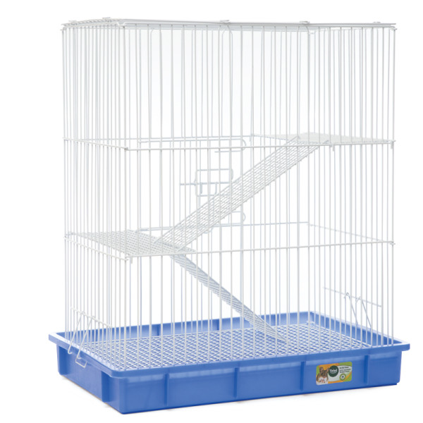 Клетка C1: идеальное жилье для маленьких питомцев