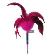 Кішкелер үшін ойыншық JOYSER Cat Teaser Көктемде пернелермен көрсеткіш, 65 см