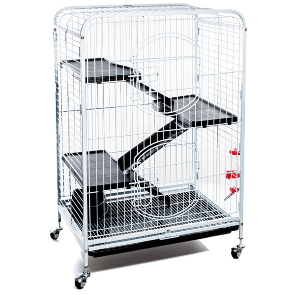 слово

C2-2W: Инновационная клетка для животных