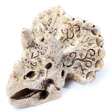 Грот "Череп трицератопса", 75*62*50мм