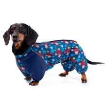 Қысқа комбинезон "Кроличья такса", 36 см